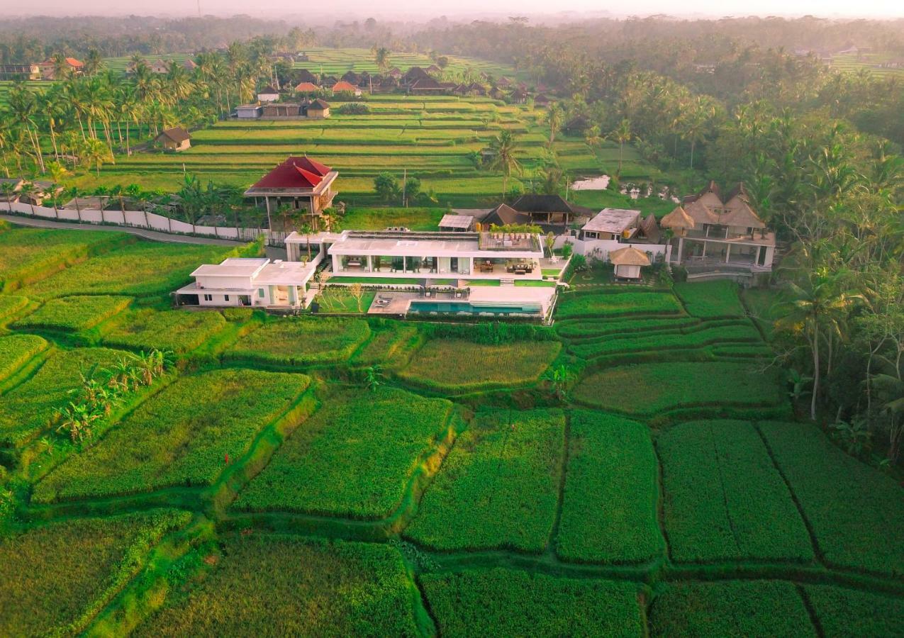 Villa Harta Ubud Dış mekan fotoğraf